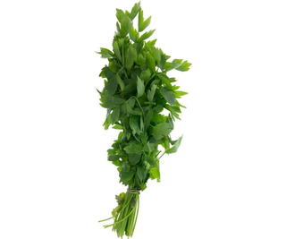 Leustean Legatura