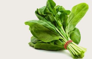 Spanac / kg