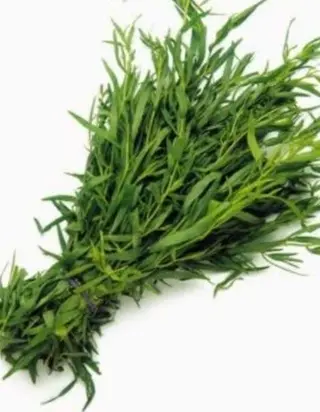 Tarhon in saramura 