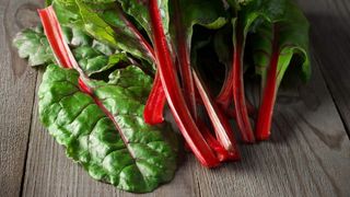 Frunze mangold Legatura