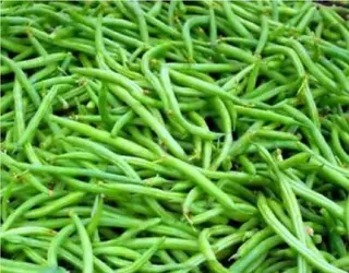 Fasole fideluță verde / Kg