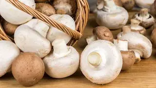 Ciuperci Champignion / kg