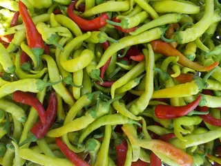 Ardei bulgaresti semi iuti / kg
