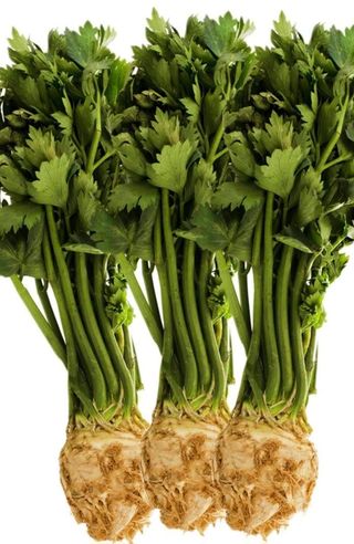 Telina cu frunza / buc