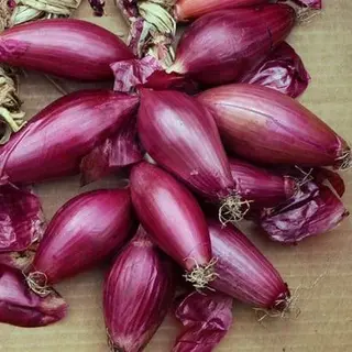 Ceapa de Buzau rosie / kg