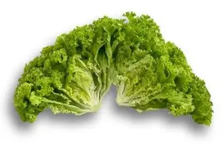Salata creata / buc