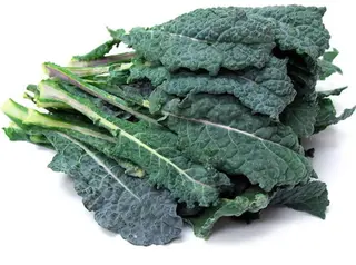 Varză kale Legatura