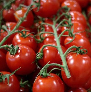 Roșii cherry tomatini Grecia Caserola