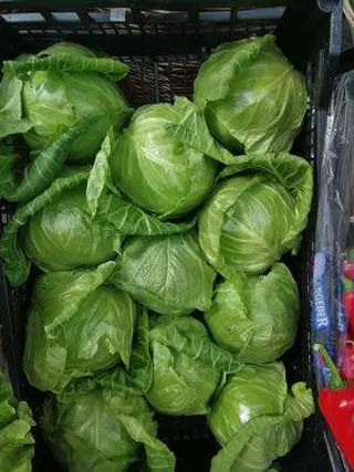Varză Nouă
