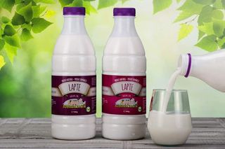 Lapte de vaca (ferma animalelor)