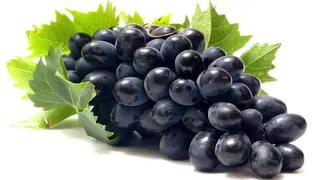 Strugure negru de masa