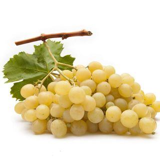 Strugure Ceasla