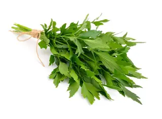Leustean