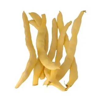 Fasole galbena