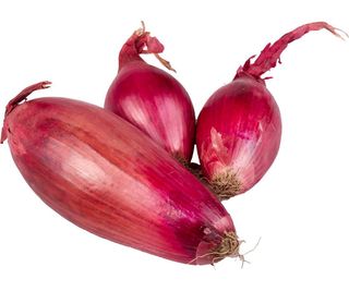 Ceapa rosie de apa