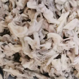 Tentacule de calamar (ciufi) - 200gr
