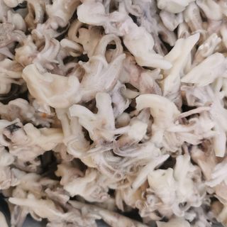 Tentacule de calamar (ciufi) - 200gr