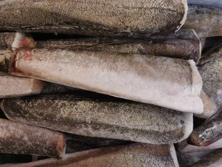 Trunchi de merluciu atlantic 250/450# - 1KG
