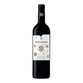 Buzet Rouge Terres D'Anthea