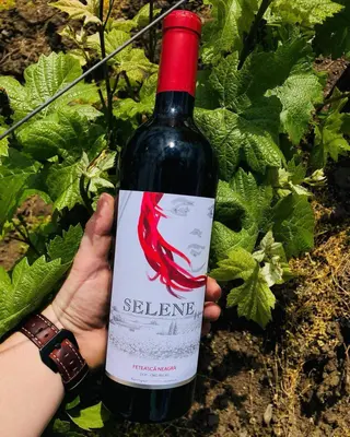 Selene Feteasca Neagra - sec