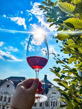 Vip Roze 5L - roze sec