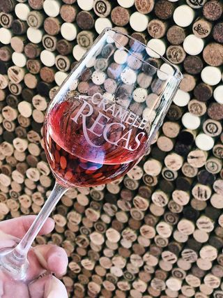 Merlot Roze 2L - roze demisec
