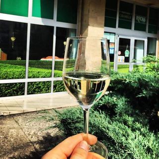 Muscat Ottonel 5L - alb demidulce