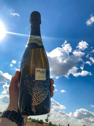 Muse Stars - alb brut