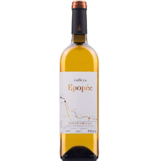 CATLEYA EPOPEE ALB – 0.75L