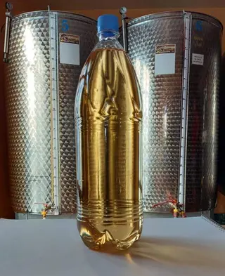 Vin alb demidulce 2L