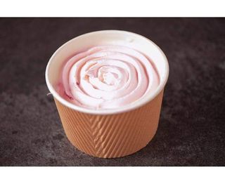 Inghetata Iaurt si Fructe de Padure 320g