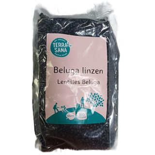TERRASANA organic soèivo crno 500 GR