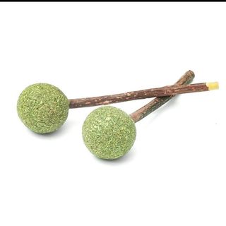 Lollipop iarba pisicii -igiena dentară 1 buc