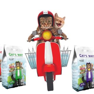 Pachet economic 20 l Cats Way white bentonite 4x5L