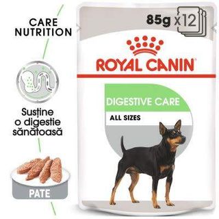 Royal Canin CCN Digestive Care Wet Mousse DOG 85G