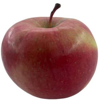 CRVENI DELIŠES 0.5 kg