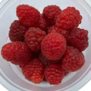 MALINA PAKOVANJE 200g