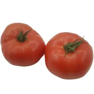 PARADAJZ ROZE 0.5 Kg
