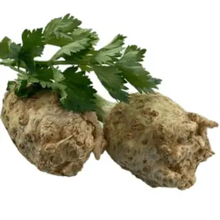 CELER KOREN 0.2 kg