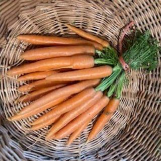 ŠARGAREPA MLADA 1Kom 990g+-5%