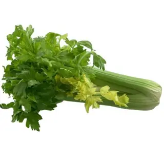 CELER - LIST 0.5 kg