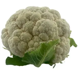 KARFIOL 0.5 Kg