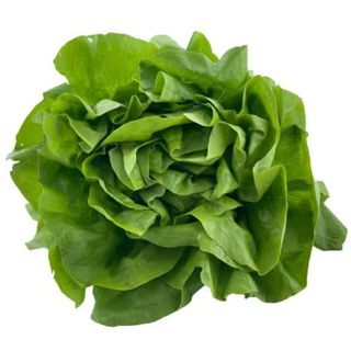 PUTERICA 1kom 100g+-5%