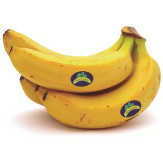 Platano Canario Aprox. 1 Kg.