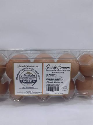 Ferma Ivascu Oua 10buc