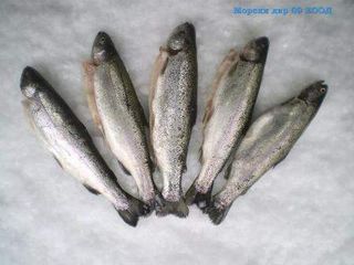 Пъстърва чистена 250гр/400гр прясна -/228/-1брой