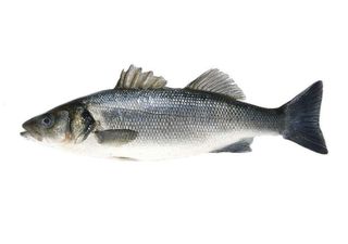 Лаврак чистен 400гр/600гр пресен - /301/-1брой