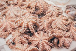 Октопод бейби чистен суров 1кг/0.800нето/-1брой