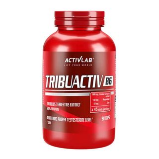Tribuactiv B6 (90 caps.)