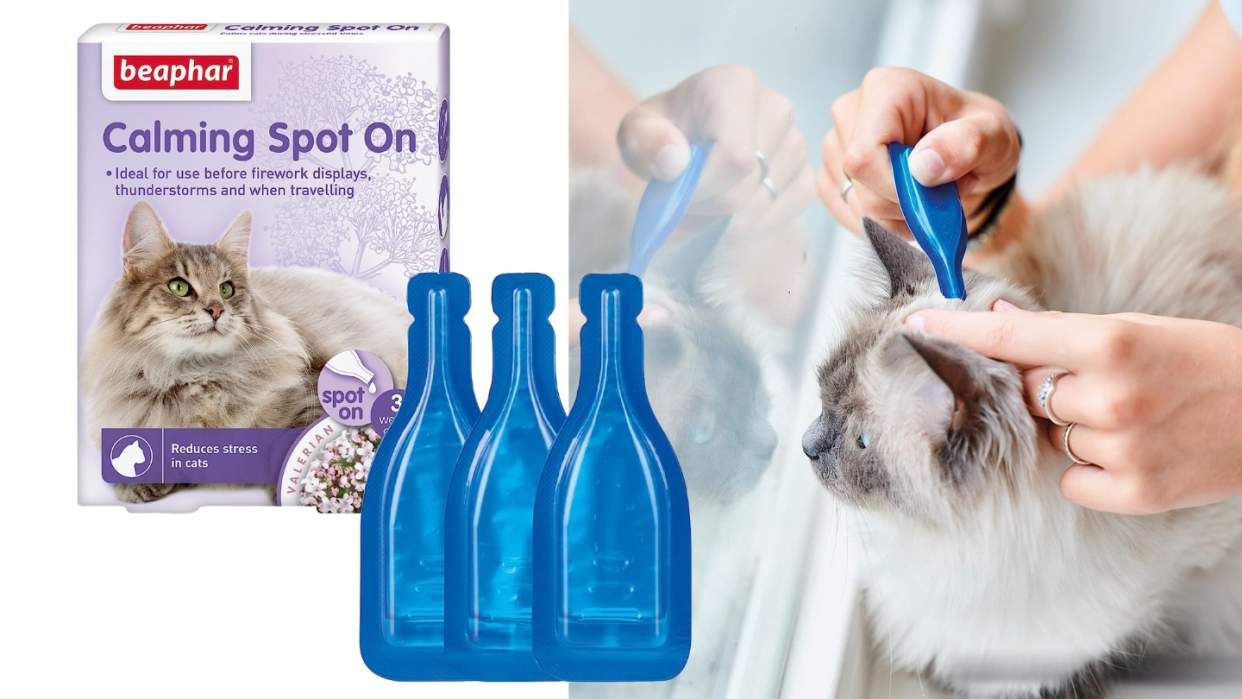 Vitamini i Dodaci Ishrani za Mačke